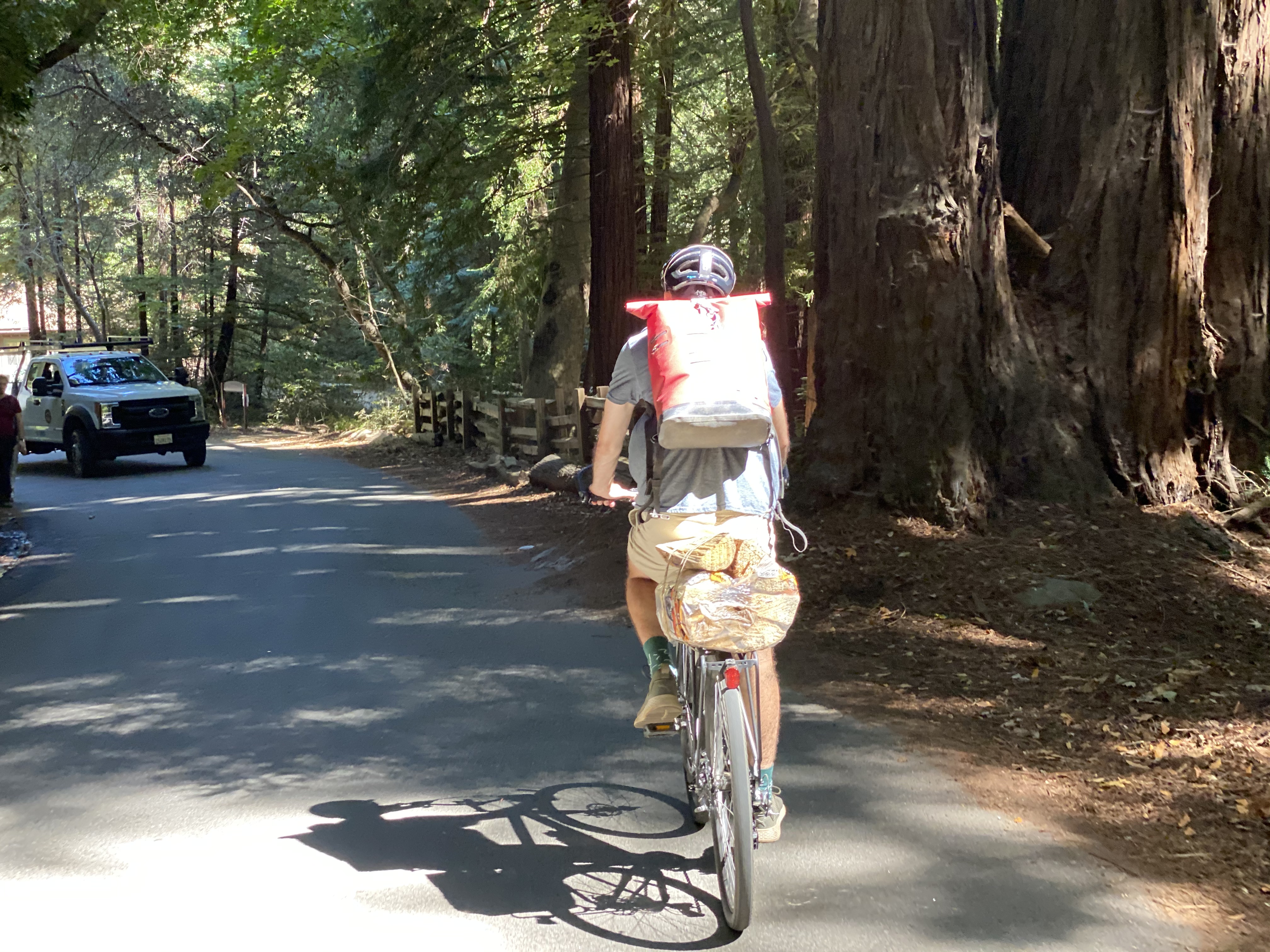 Bike hauling firewood