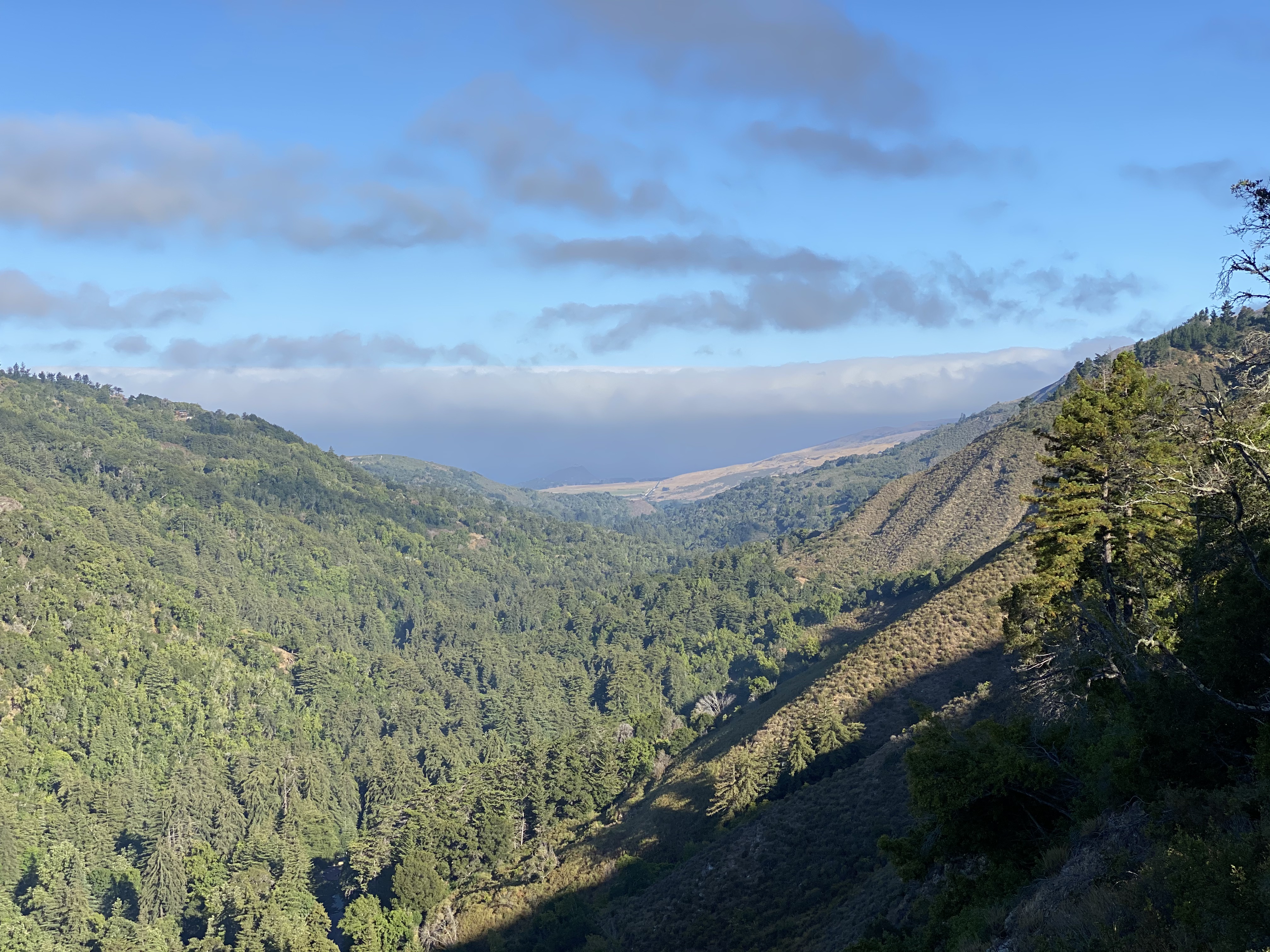 Big Sur Bike Camping