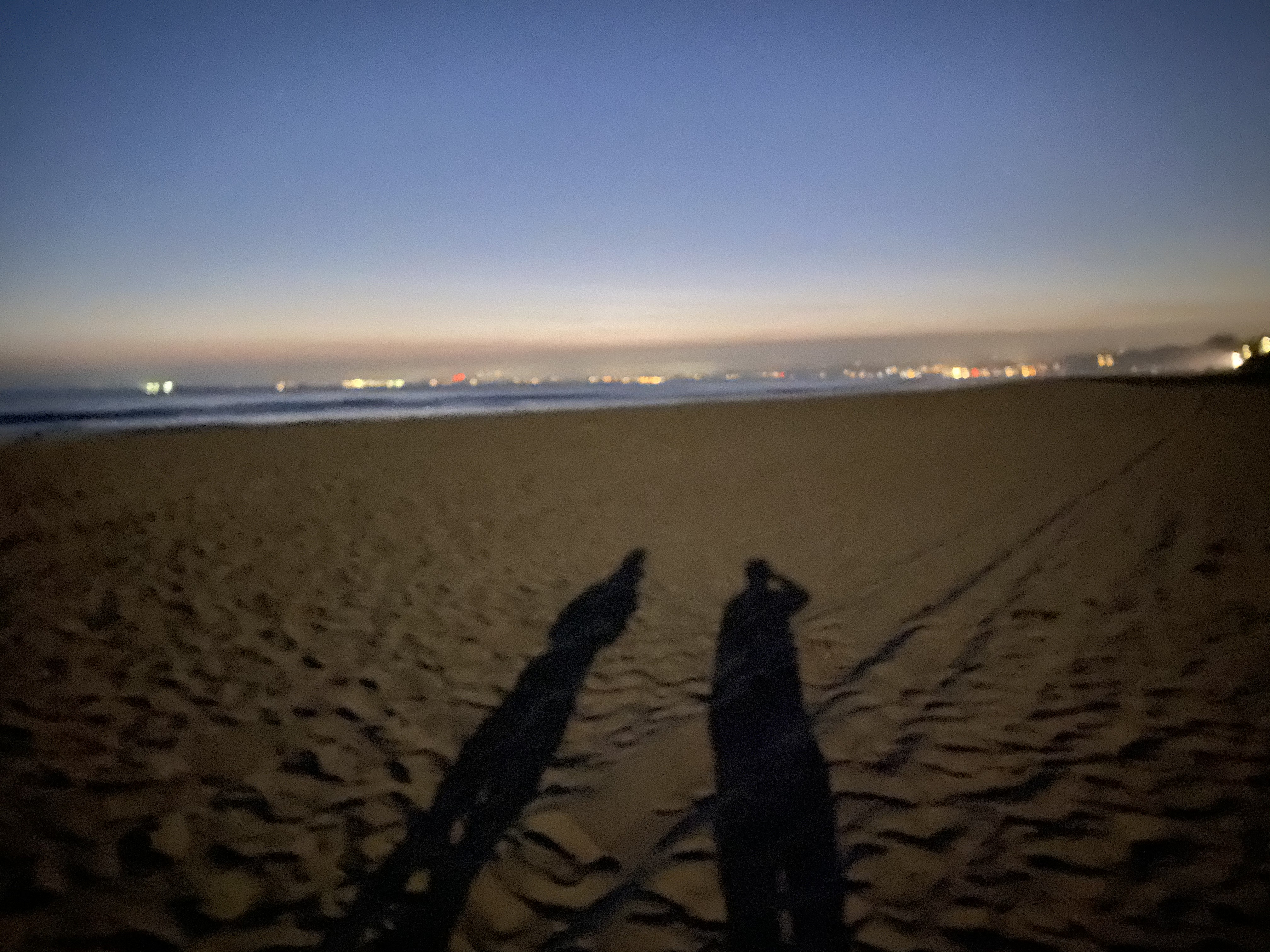 Manresa Moon Shadows